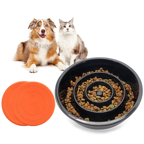 HealthyPet Slow-Feeding Ceramic Bowl & Soft Frisbees Set