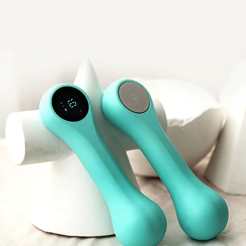 FitSmart Home Weights