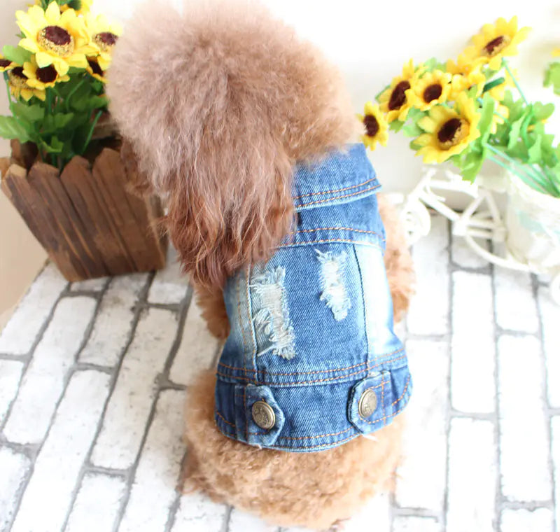 Chic Pet Denim Vest for Warm Seasons