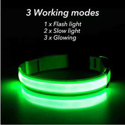 Glowing LED Dog Collar - Waterproof Safety Light