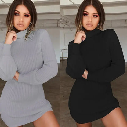 High Neck Long Sleeve Ribbed Mini Dress