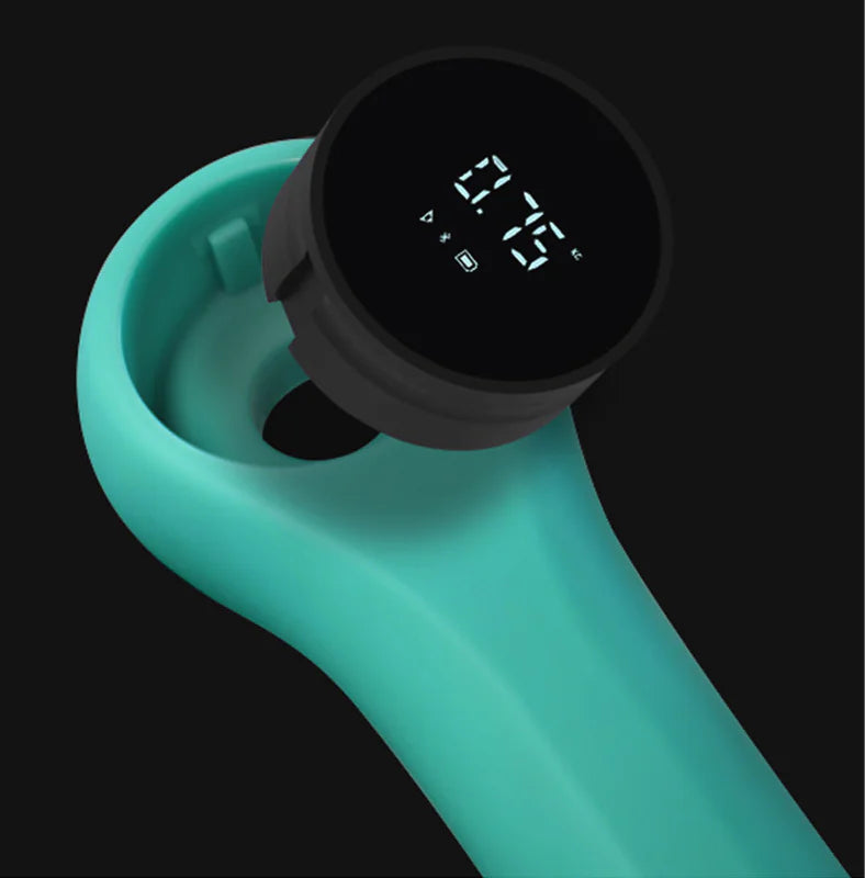 FitSmart Home Weights