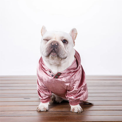 Dense Velvet Hooded Sweater for Dogs - Fall/Winter