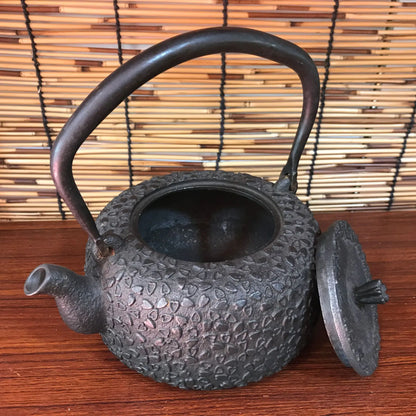 Classic Cast Iron Teapot